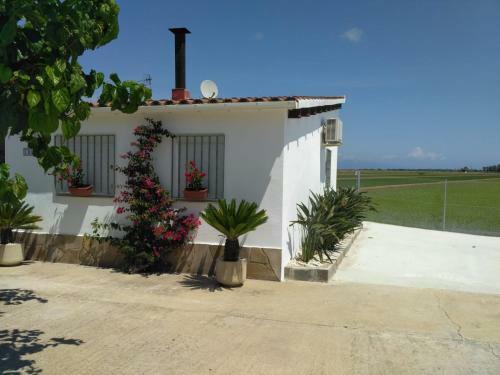 Agroturismo Caseta Del Chato