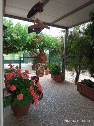 Casa Enric Deltebre