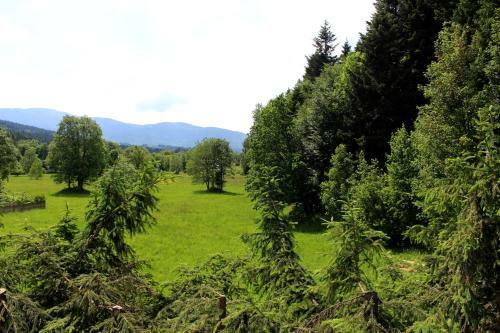 Zawoja Chaty G�rskie D4
