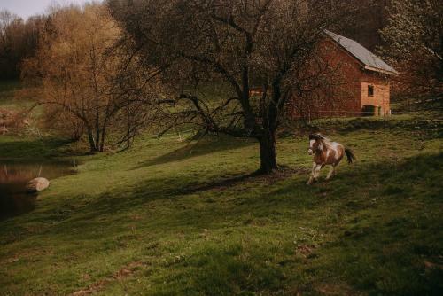 Lodge Osada Krasne - Noclegi Blisko Natury