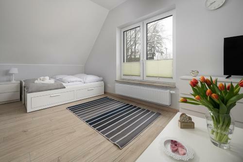 Villa Domowy Zak?tek