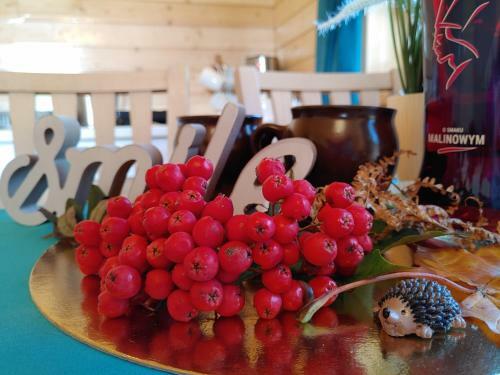 Apartamento Bli?niacze Domki Z Widokiem Na Skrzyczne