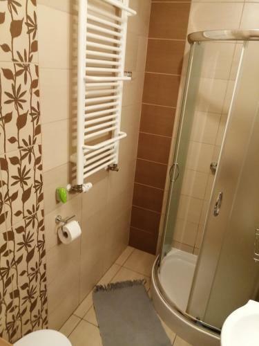 Apartamento Pokoje Go?cinne Alex