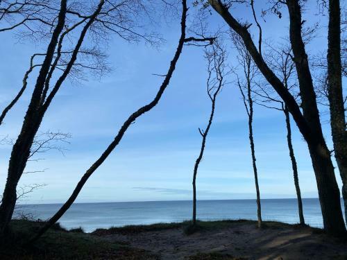 Nadmorskie Zacisze - Apartament D?bina