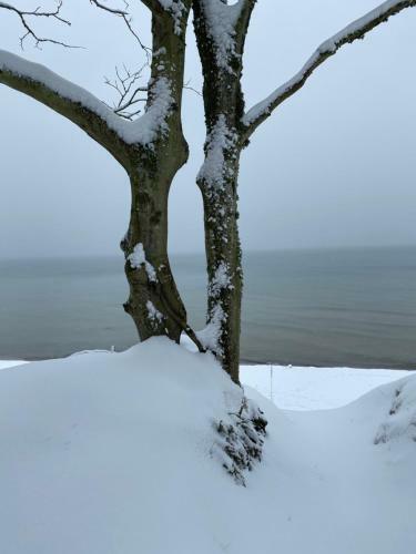 Nadmorskie Zacisze - Apartament D?bina