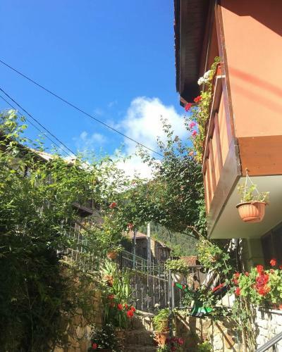 Apartamentos Rurales Los Nogales