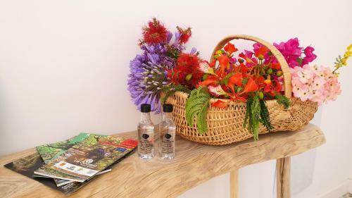 Apartamentos Alayna�s Homes