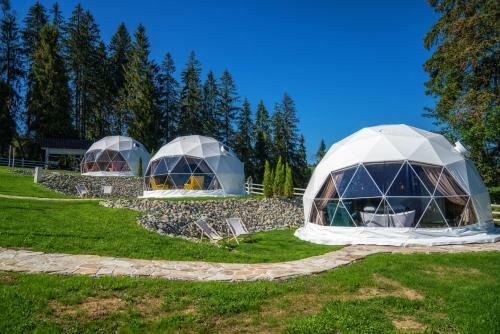 Mountain Glamp