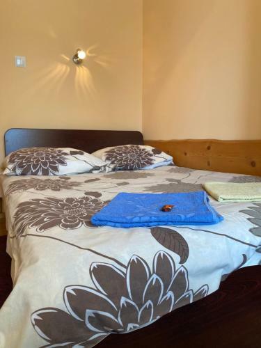 Bed & Breakfast Pokoje Go?cinne Madzia