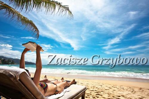 Apartamento Zacisze Grzybowo