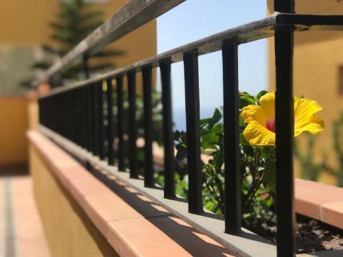 Apartamento De Lujo En Puerto Santiago 1