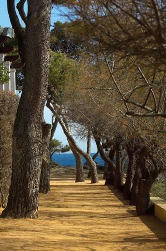 Platja D�aro Center Apartments