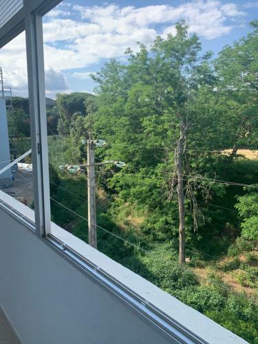 Acojedor Apartamento Muy Centrico
