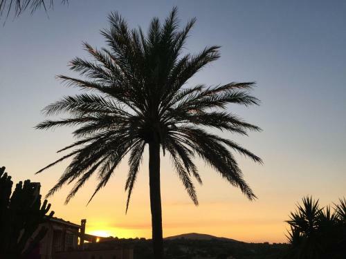 Finca Oase - Gaestehaus