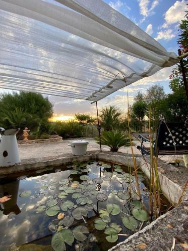 Finca Oase - Gaestehaus