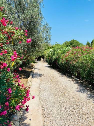 Finca Oase - Gaestehaus