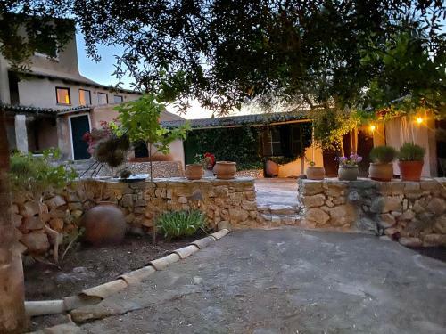 App. Grande - Osten Mallorca - Adults Only Apartments