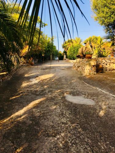 App. Grande - Osten Mallorca - Adults Only Apartments
