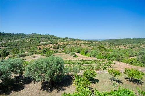 Villa Finca Son Roman�
