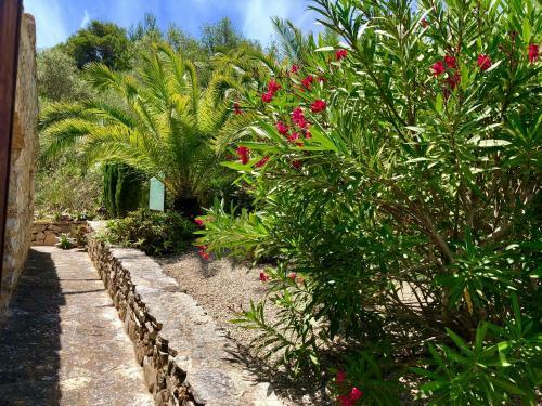 La Costa Casita