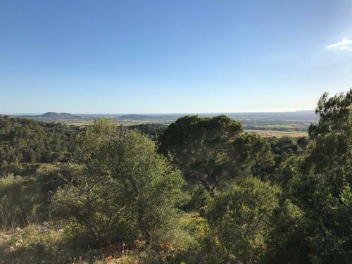 Lodge Buena Vista