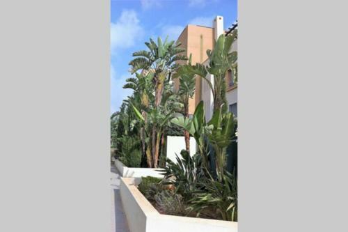 Chill Out Ground Floor Apartm +private Garden+wifi