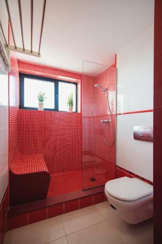 Apartamento Cardon Big Calm 19