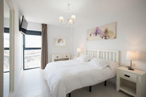 Apartamento Cardon Big Calm 14