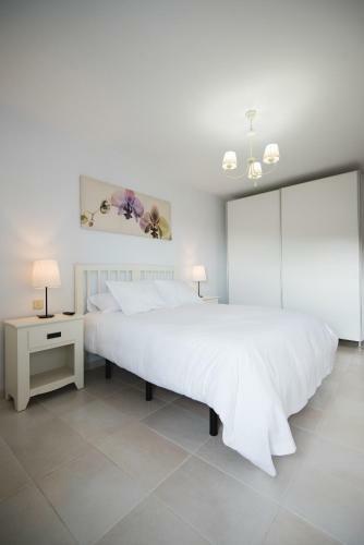 Apartamento Cardon Big Calm 14