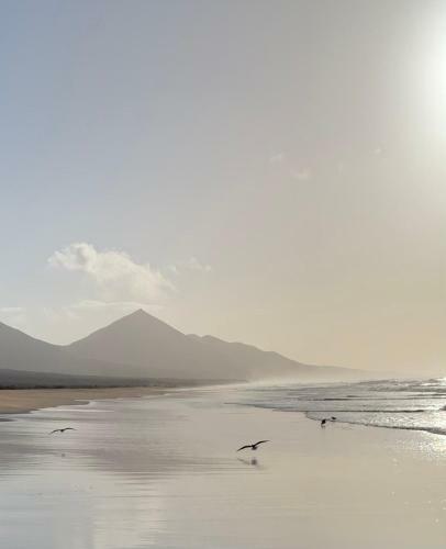Apartamento Solymar Calma Holiday Rentals