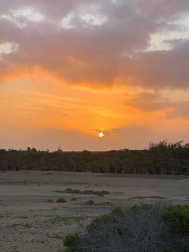 Apartamento Solymar Calma Holiday Rentals
