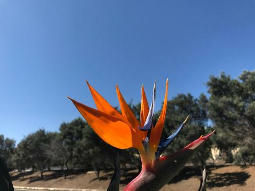 Apartamento Holamigos Costa Calma