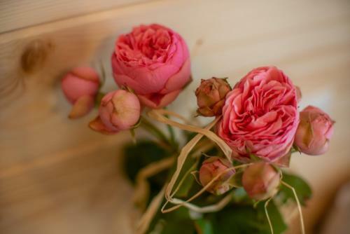 Willa Lassak�wka