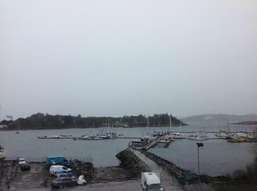 Posada Wide Mouthed Frog Hotel And Restaurant