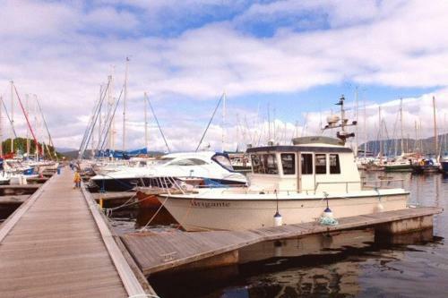 Posada Wide Mouthed Frog Hotel And Restaurant