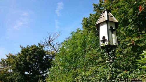 Bed & Breakfast Elderslie Guest House