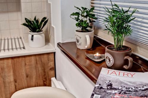 Apartament Pod Nosalem