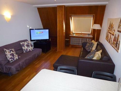 Apartamentos Formigal - Admite Mascotas