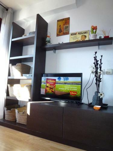 Apartamentos Formigal - Admite Mascotas