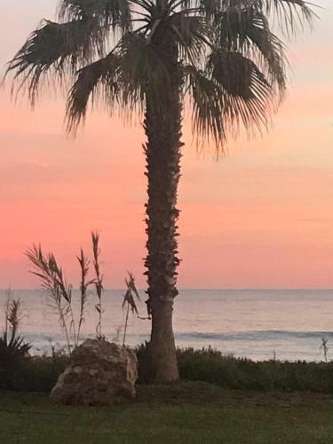 Paraiso Frente Al Mar Apto Duplex