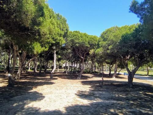 Apartamento Estudio Arp�n Cala Del Pino