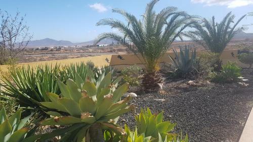 Villa Del Campo "alicia"