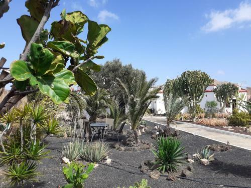 Bed & Breakfast Villa Vital Fuerteventura - Hospitable, Atmospheric, Authentic, Small-scale Accommodation
