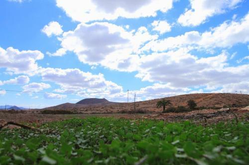 Apartamento Monta�a Valles De Ortega -d