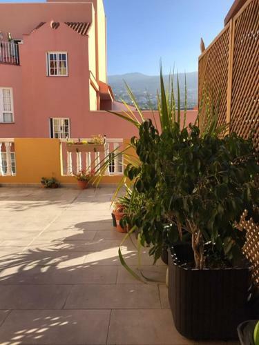 Apartamento Grosse Terrasse. Modern. Home Office. Solarium