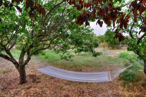 Apartamento Masia Cal Ros