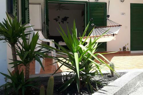 Apartamento New Central Town Bungalow Wifi Netflix