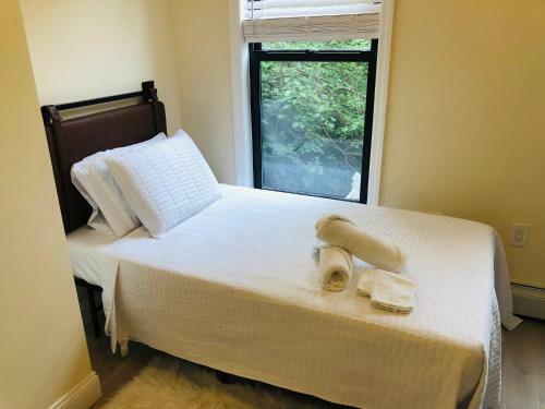Luxury 3 Bedroom Apartment With Backyard + Close Transport