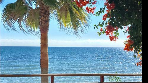 Mi Capricho 3e Beachfront- Apartment With Sea Views In Cala Mijas
