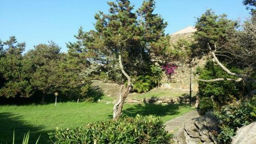 Apartamento Appartamento Vista Giardino